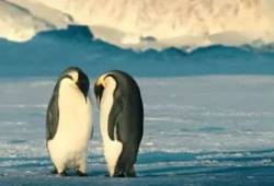 企鹅视频,精彩内容一网打尽，带你领略视听盛宴